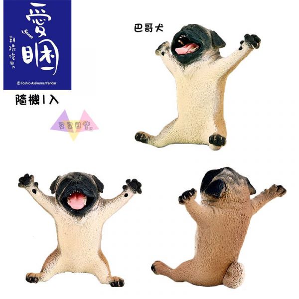 Anim Life愛睏動物無尾熊北極熊河馬黑猩猩巴哥犬隱藏公仔擺飾盒玩隨機1入 