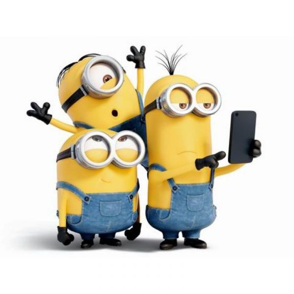 小小兵 神偷奶爸 Minions 專賣店限定 funko 盒裝公仔12款隨機出貨 
