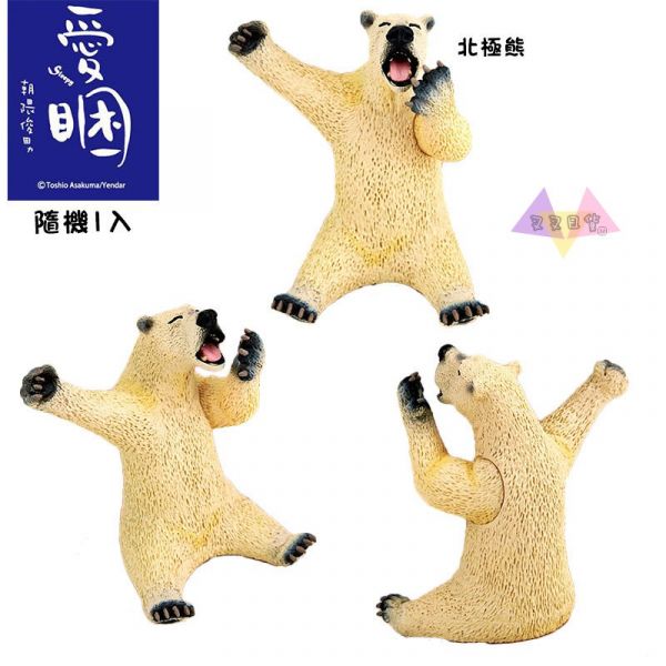 Anim Life愛睏動物無尾熊北極熊河馬黑猩猩巴哥犬隱藏公仔擺飾盒玩隨機1入 