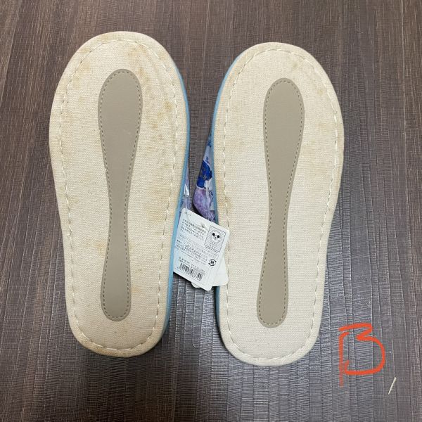 迪士尼冰雪奇緣艾莎elsa安娜anna室內拖鞋22~24cm 