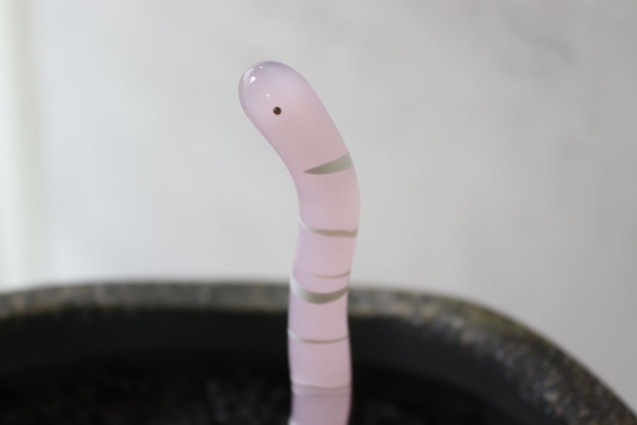 花園鰻盆栽/魚缸擺飾線條款(現貨+預購) 精湛工藝,鑽石,貴金屬,珠寶,玻璃,純銀,純金,飾品,項鍊,禮物,禮品,穿搭,獨一無二,吊墜,戒指,時尚,配件,耳環,手鍊,前衛,玻璃工藝,風格,生日禮物