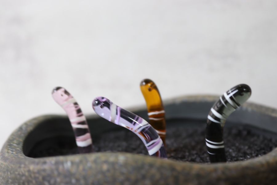 花園鰻盆栽/魚缸擺飾 透明系線條款(現貨+預購) 精湛工藝,鑽石,貴金屬,珠寶,玻璃,純銀,純金,飾品,項鍊,禮物,禮品,穿搭,獨一無二,吊墜,戒指,時尚,配件,耳環,手鍊,前衛,玻璃工藝,風格,生日禮物