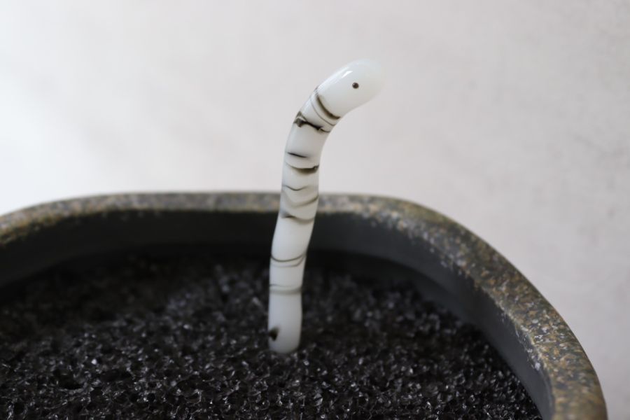 花園鰻盆栽/魚缸擺飾線條款(現貨+預購) 精湛工藝,鑽石,貴金屬,珠寶,玻璃,純銀,純金,飾品,項鍊,禮物,禮品,穿搭,獨一無二,吊墜,戒指,時尚,配件,耳環,手鍊,前衛,玻璃工藝,風格,生日禮物