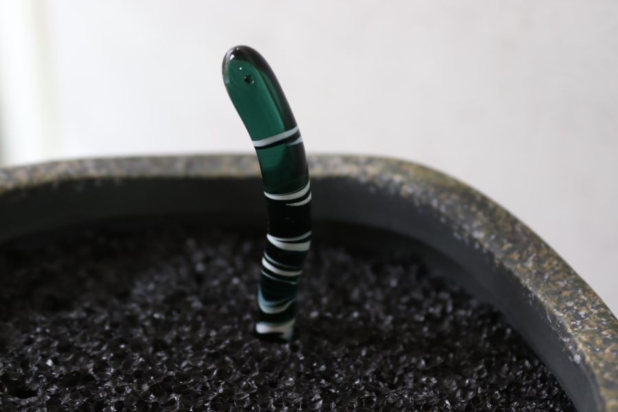 花園鰻盆栽/魚缸擺飾 透明系線條款(現貨+預購) 精湛工藝,鑽石,貴金屬,珠寶,玻璃,純銀,純金,飾品,項鍊,禮物,禮品,穿搭,獨一無二,吊墜,戒指,時尚,配件,耳環,手鍊,前衛,玻璃工藝,風格,生日禮物