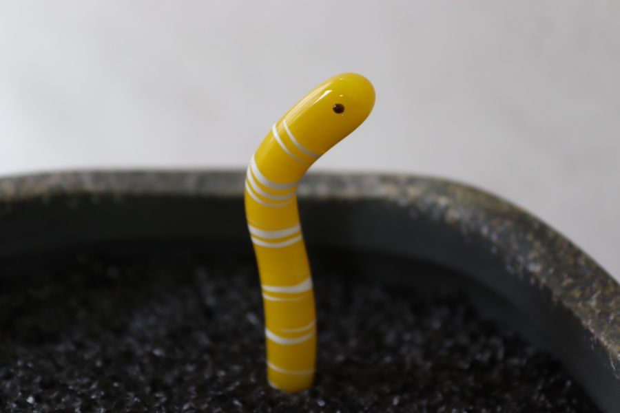 花園鰻盆栽/魚缸擺飾線條款(現貨+預購) 精湛工藝,鑽石,貴金屬,珠寶,玻璃,純銀,純金,飾品,項鍊,禮物,禮品,穿搭,獨一無二,吊墜,戒指,時尚,配件,耳環,手鍊,前衛,玻璃工藝,風格,生日禮物