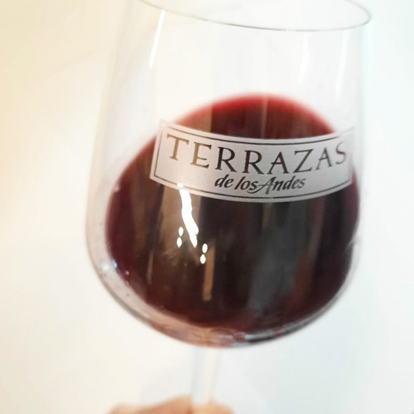 贈品》Terrazas安地斯台階葡萄酒杯(10點) Terrazas,安地斯,台階,葡萄酒杯