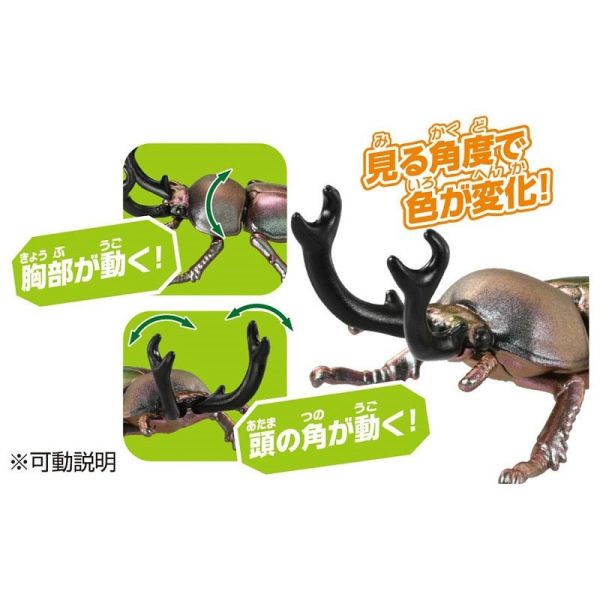 TAKARA TOMY 多美動物園 AS-42 彩虹甲蟲 