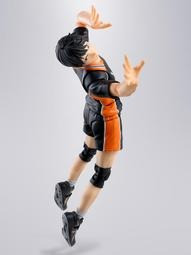 12-1月預購  S.H.F SHF 排球少年!! 烏野高中 影山飛雄 