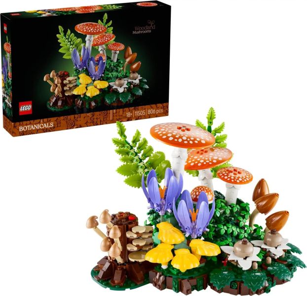 樂高 LEGO 11505 林地蘑菇 
