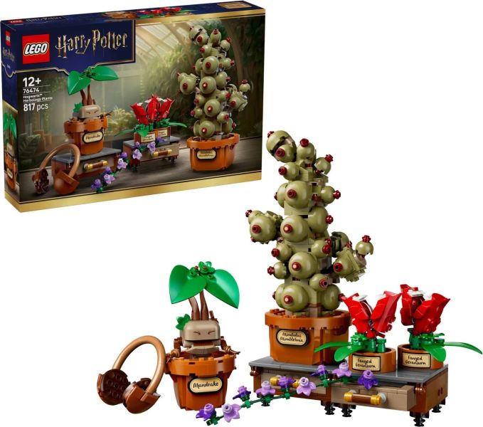 樂高 LEGO 76474 霍格華茲™ 藥草學植物 