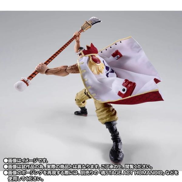 6-7月預購 魂商店 S.H.Figuarts SHF 航海王 海賊王 愛德華・紐蓋特 白鬍子 馬林福特頂上戰爭篇 