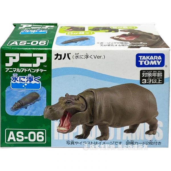 TAKARA TOMY 多美動物園 AS 06 河馬 