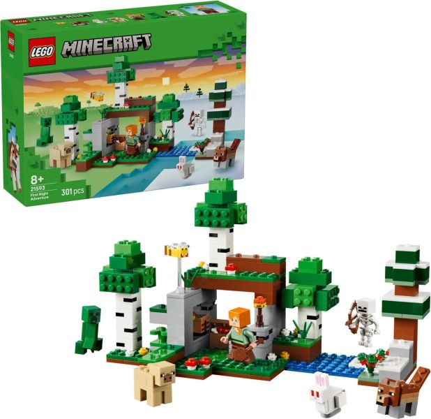 樂高 LEGO 21593 第一夜冒險 