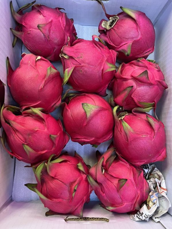 紅肉火龍果1份250 (2-3個) 