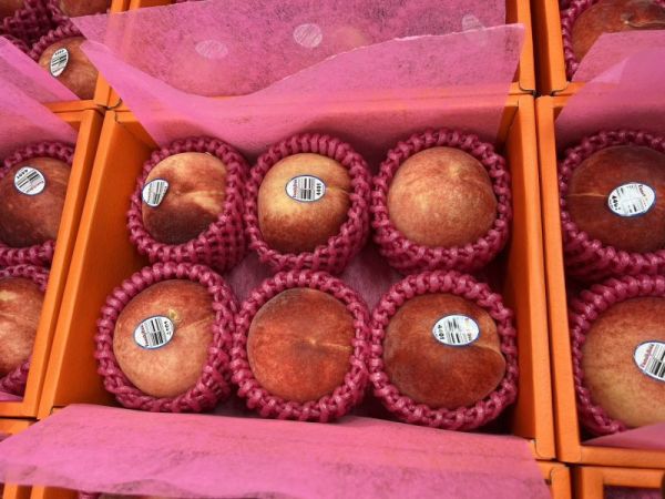 美國空運水蜜桃(22規) 禮盒6入 /附提袋 