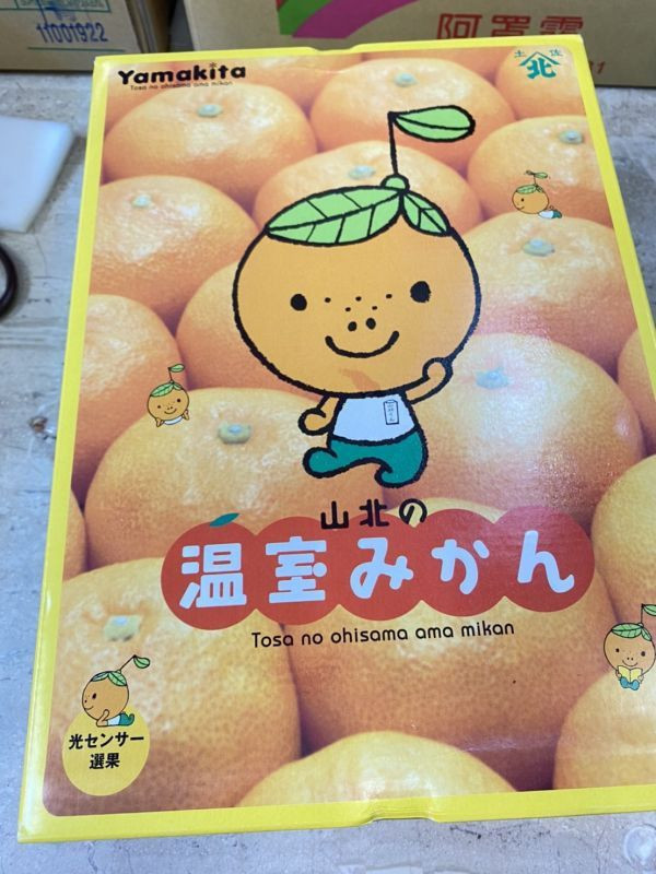 日本原裝空運/高知山北蜜柑 (原裝箱25-40顆) /附包裝提袋 