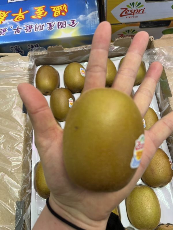 紐西蘭Zerspri 黃金奇異果/特大18規格 