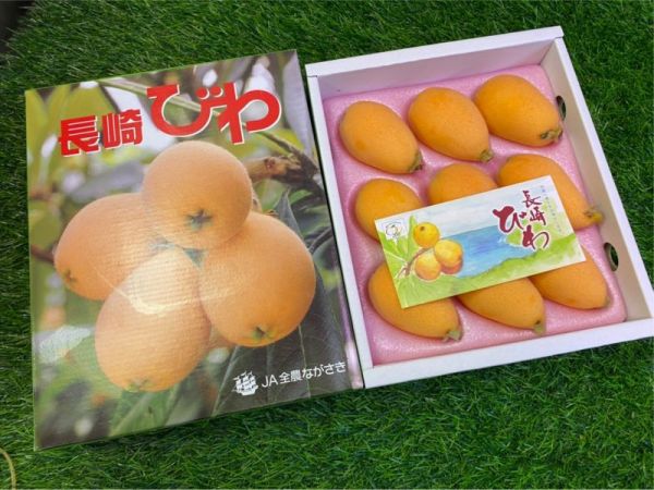 日本長崎枇杷 /原裝禮盒 9-12玉 