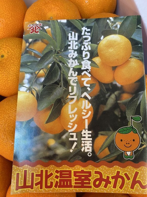 日本原裝空運/高知山北蜜柑 (原裝箱25-40顆) /附包裝提袋 