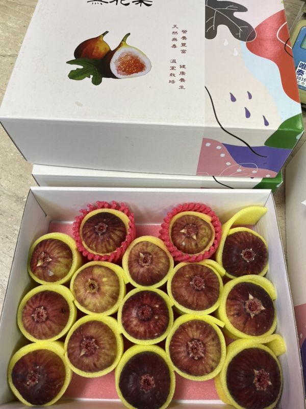 溫室無花果/甜度很低很低、就當補充營養 