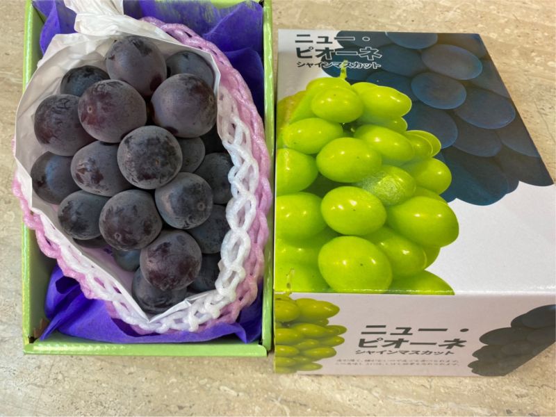 日本貓眼葡萄／附提袋 