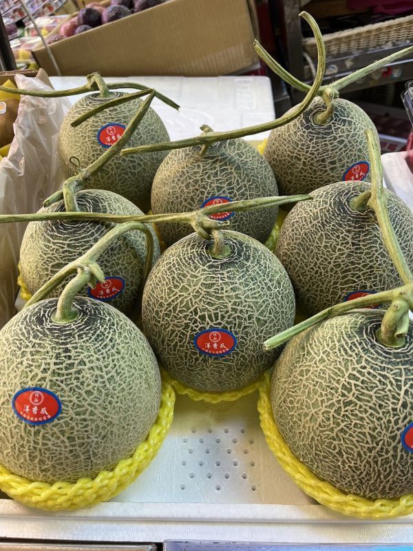 網紋哈蜜瓜 