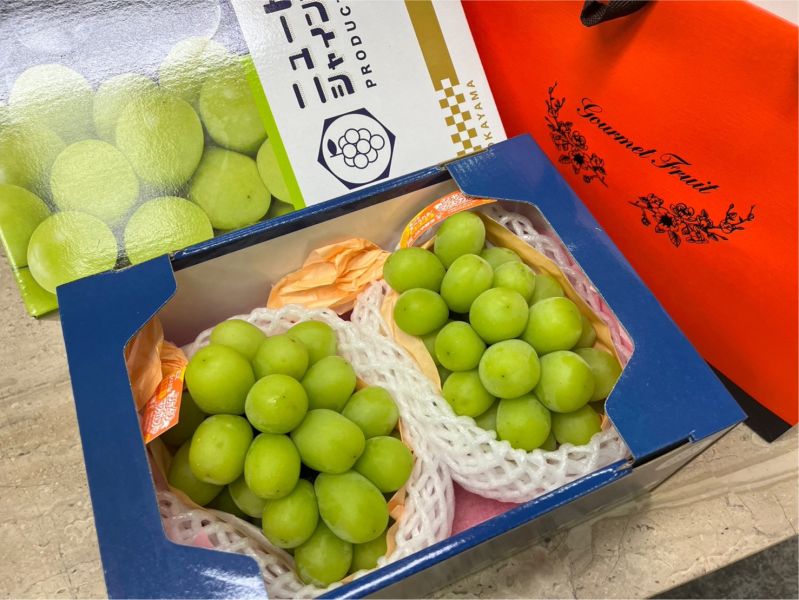 日本麝香葡萄 (8規) 