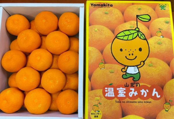 日本原裝空運/高知山北蜜柑 (原裝箱25-40顆) /附包裝提袋 