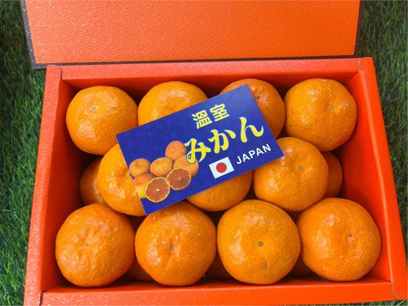 日本溫室蜜柑／愛瑪橘禮盒12-18玉／附提袋 