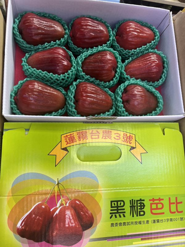 黑糖芭比蓮霧(7-12顆) 