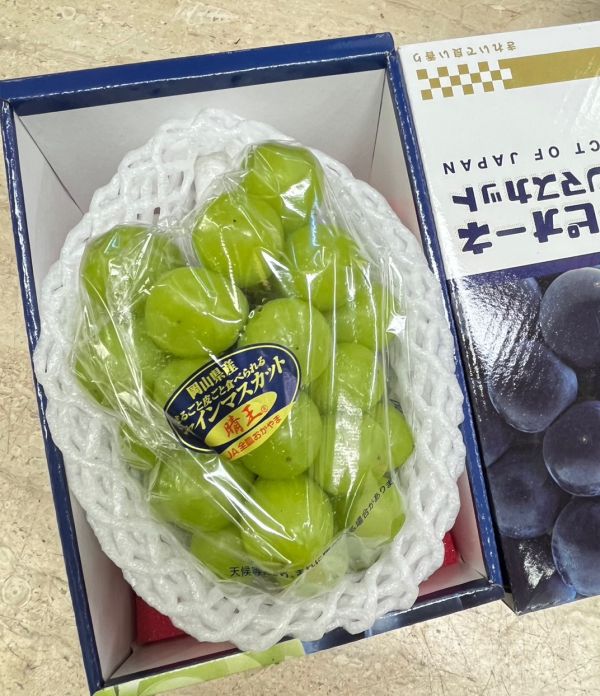 日本岡山晴王葡萄 (8規) 