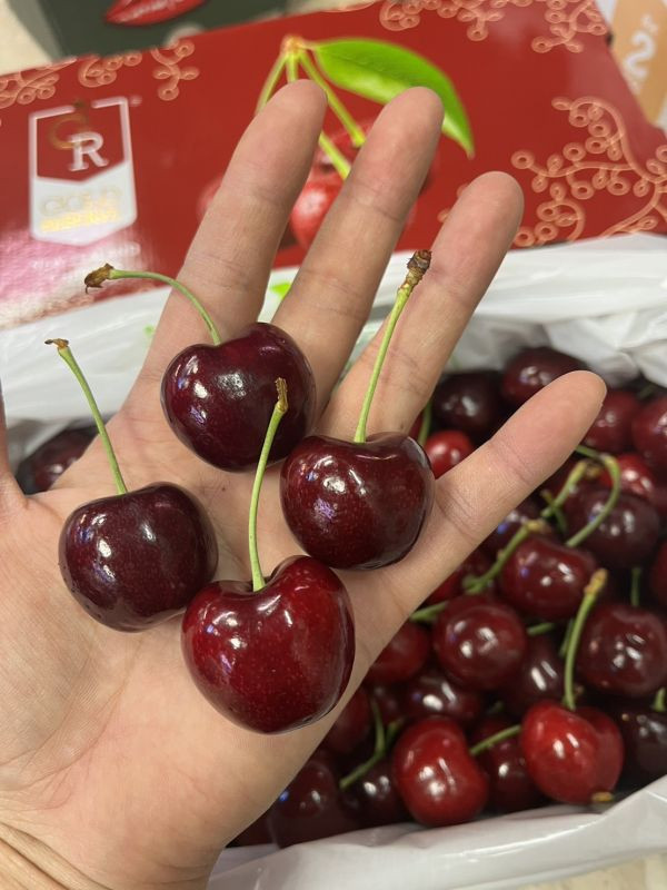 美國櫻桃禮盒【淨重900g】 (照片僅供參考) 