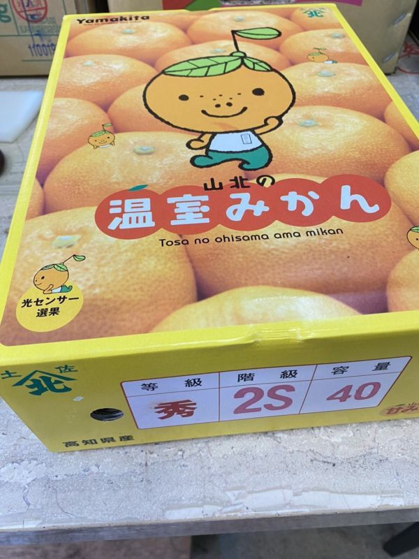日本原裝空運/高知山北蜜柑 (原裝箱25-40顆) /附包裝提袋 