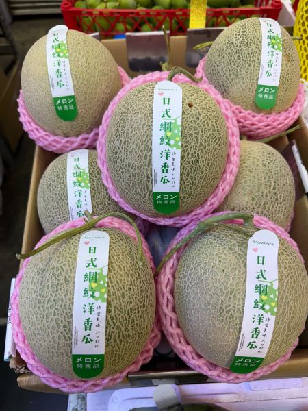 網紋哈蜜瓜 