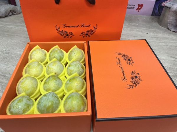 美國空運恐龍蛋-綠蛋12入/愛馬橘盒附提袋 