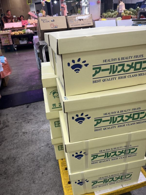 日本溫室哈蜜瓜 原裝2玉 (外箱依到貨隨機) 