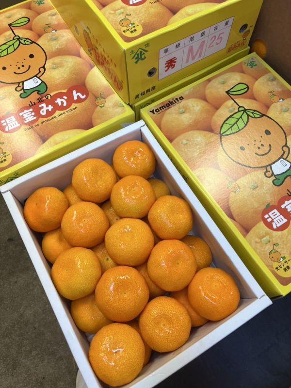 日本原裝空運/高知山北蜜柑 (原裝箱25-40顆) /附包裝提袋 