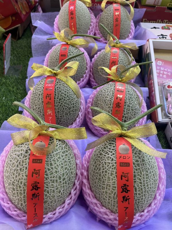 溫室阿露滋哈蜜瓜 