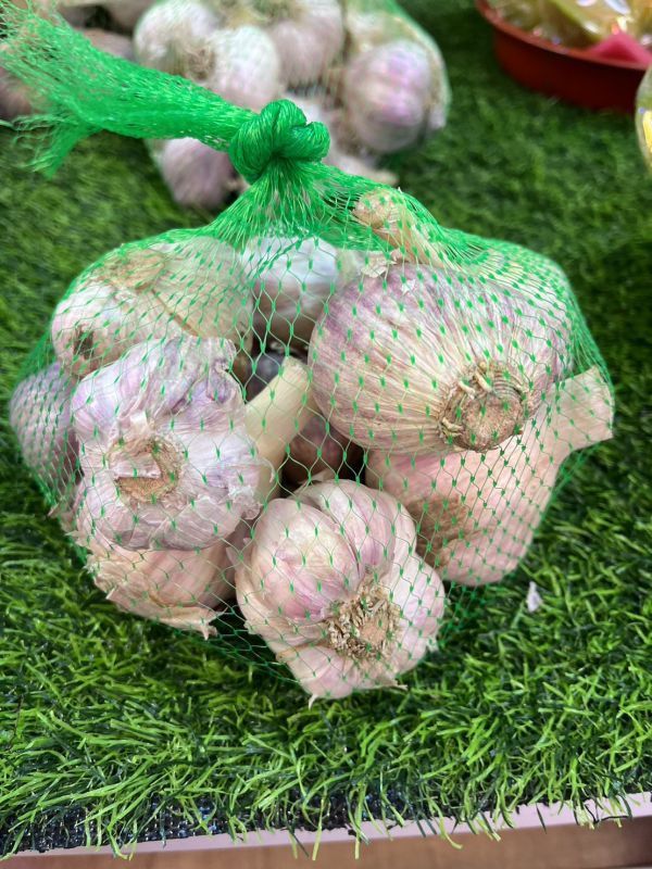 雲林蒜頭 
