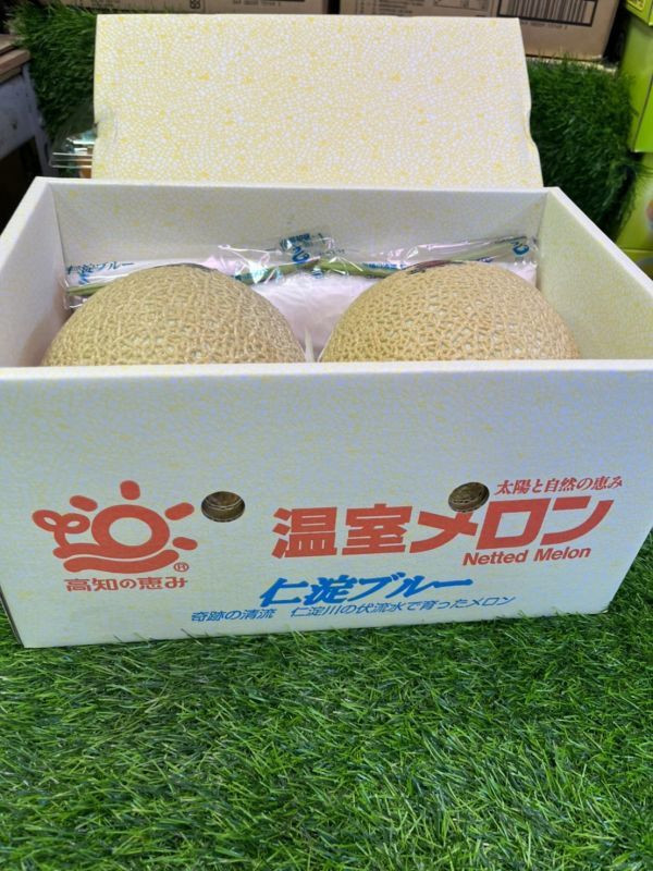 日本溫室哈蜜瓜 原裝2玉 (外箱依到貨隨機) 