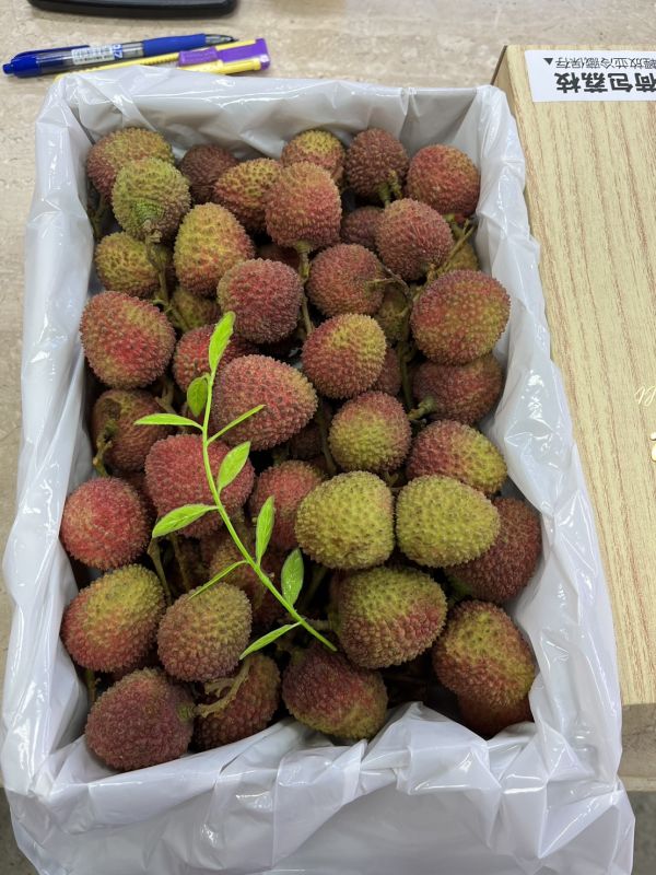 糯米荔枝禮盒 (淨重1500g) /附包裝提袋 