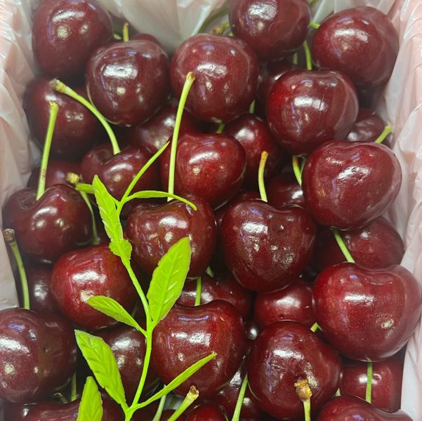 美國櫻桃禮盒【淨重900g】 (照片僅供參考) 