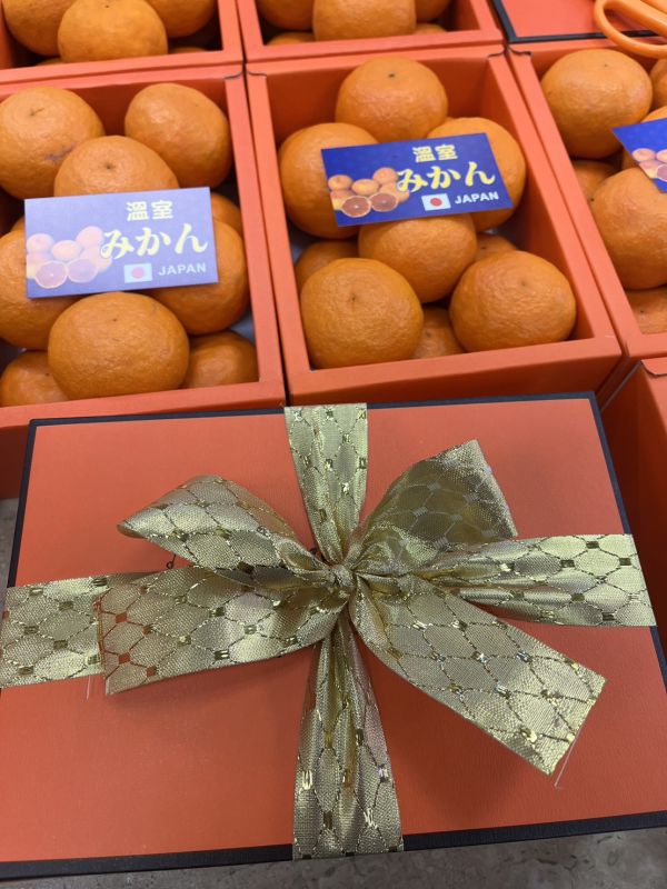 日本溫室蜜柑／愛瑪橘禮盒12-18玉／附提袋 