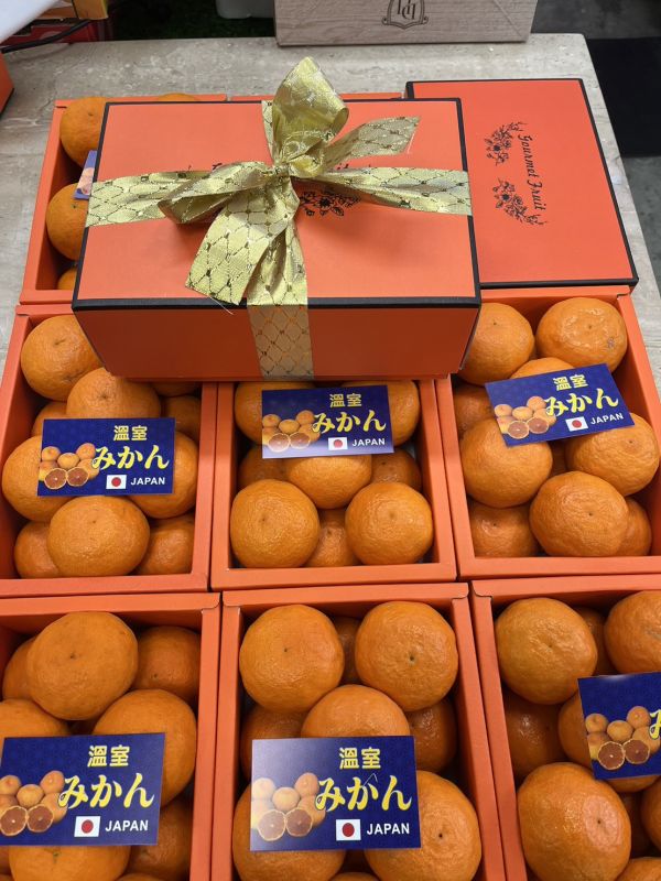 日本溫室蜜柑／愛瑪橘禮盒12-18玉／附提袋 
