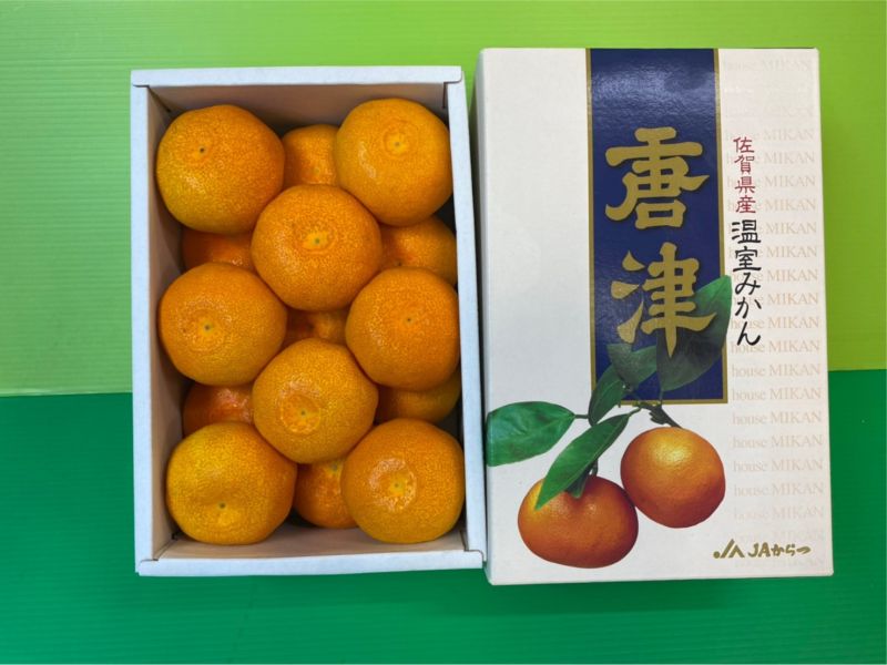 日本溫室唐津蜜柑／原裝禮盒12-15顆／附提袋 