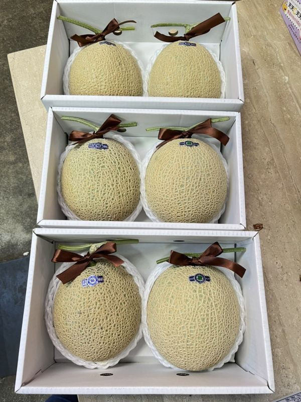 日本溫室哈蜜瓜 原裝2玉 (外箱依到貨隨機) 
