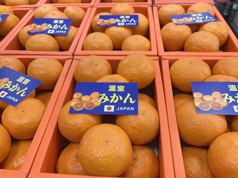 日本溫室蜜柑／愛瑪橘禮盒12-18玉／附提袋 