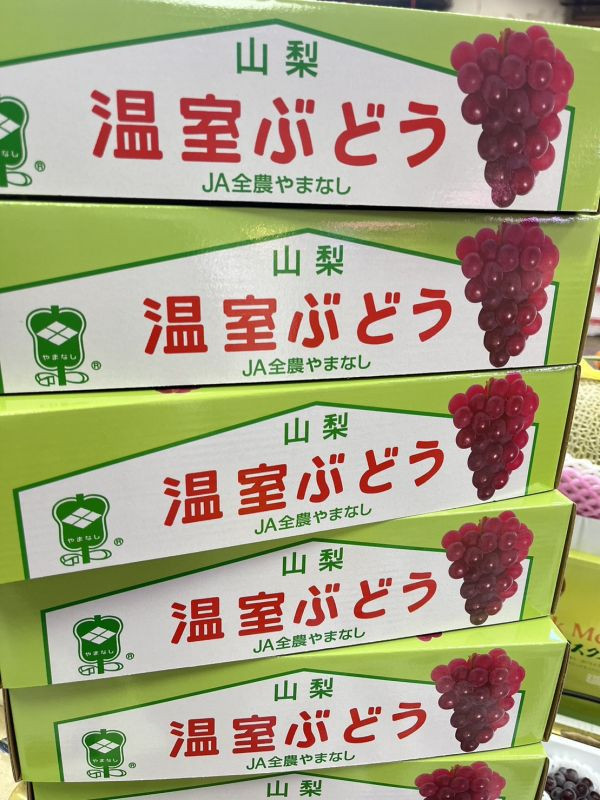 日本珍珠葡萄(禮盒3-6串)/附包裝提袋 