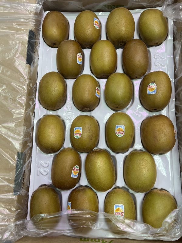 紐西蘭黃金奇異果/大顆-22規格 