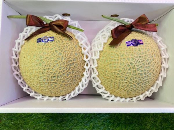 日本溫室哈蜜瓜 原裝2玉 (外箱依到貨隨機) 